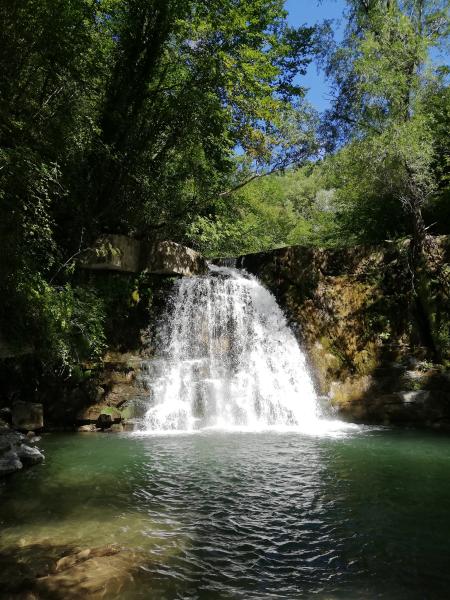 foto Woods and waterfalls