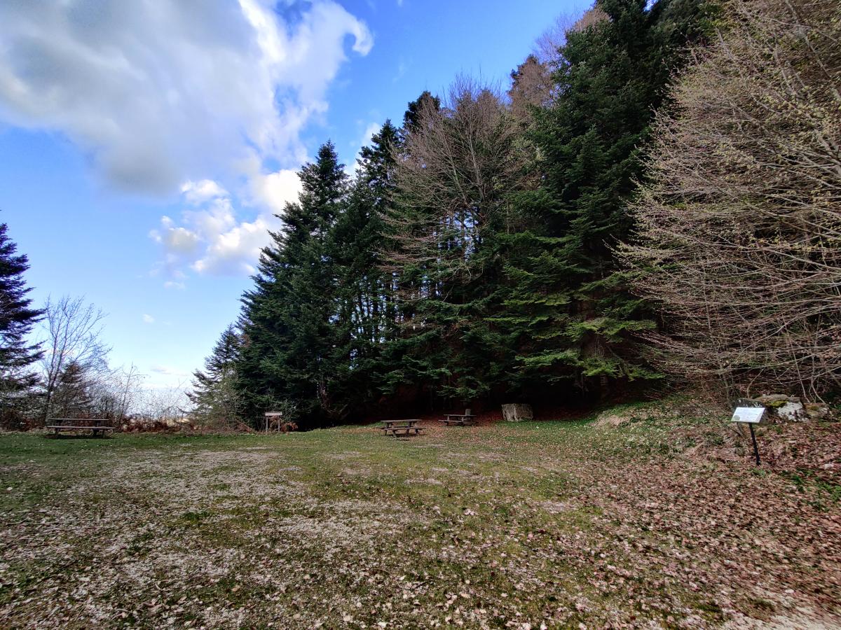 Fonte Spugna - Foto 45