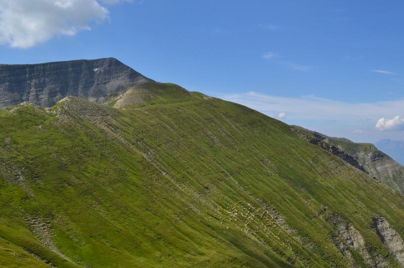 Mount Pelone - Foto 3