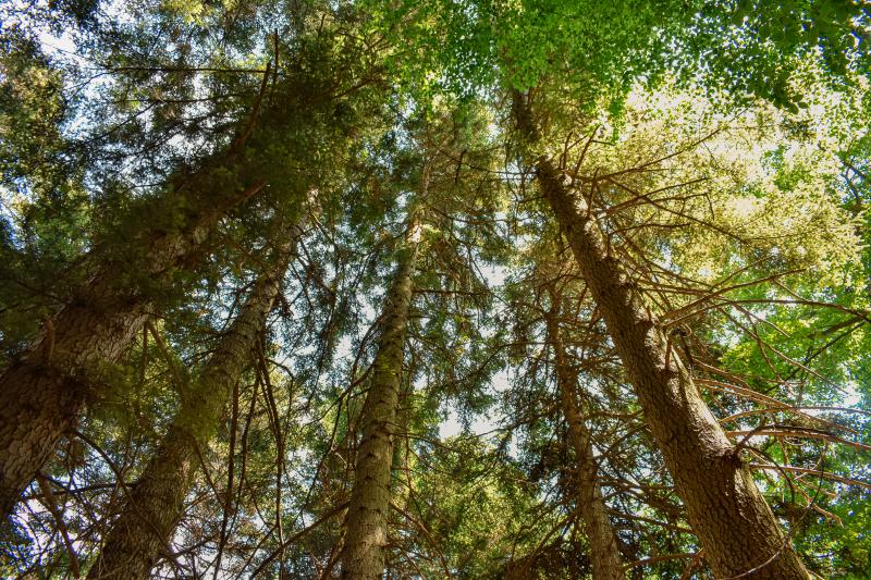 foto Excursions and Traditions: Discovering Cortino and the Laga Mountains