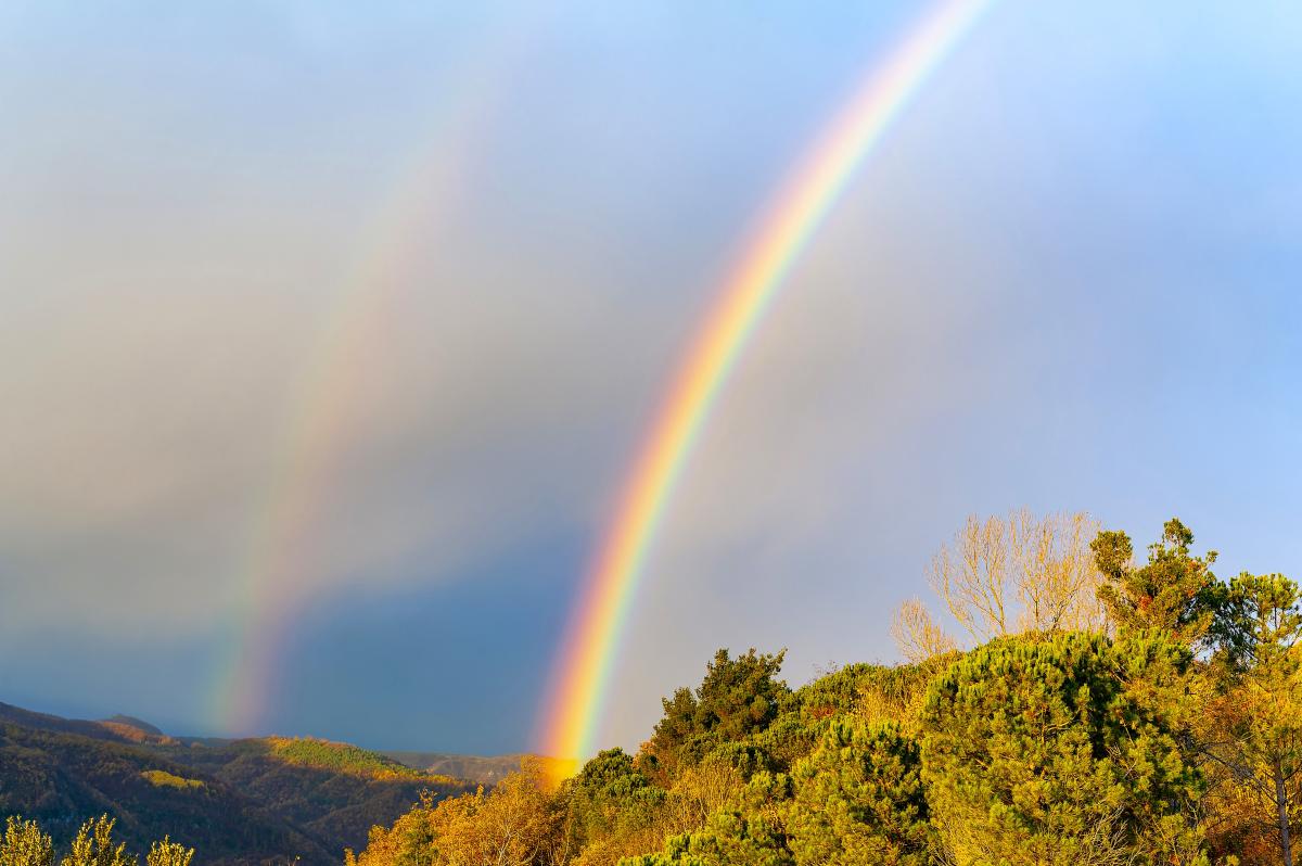 Bellezze naturali4 - Foto 4