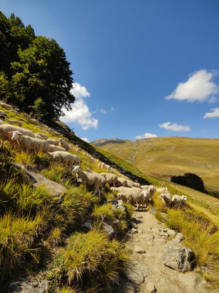 Rifugio La Fiumata - Foto 2