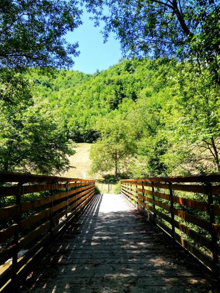 Area Pic Nic Casanova - Foto 2