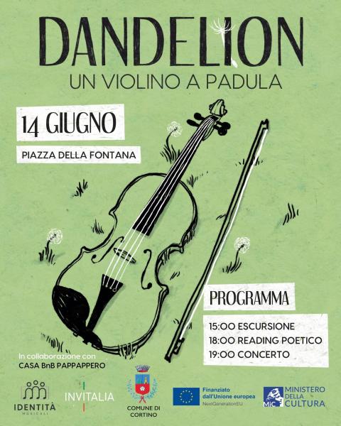 foto Dandelion - Un Violino a Padula - 14/06/2025